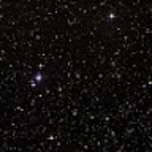 Meet your Posher, Felicia